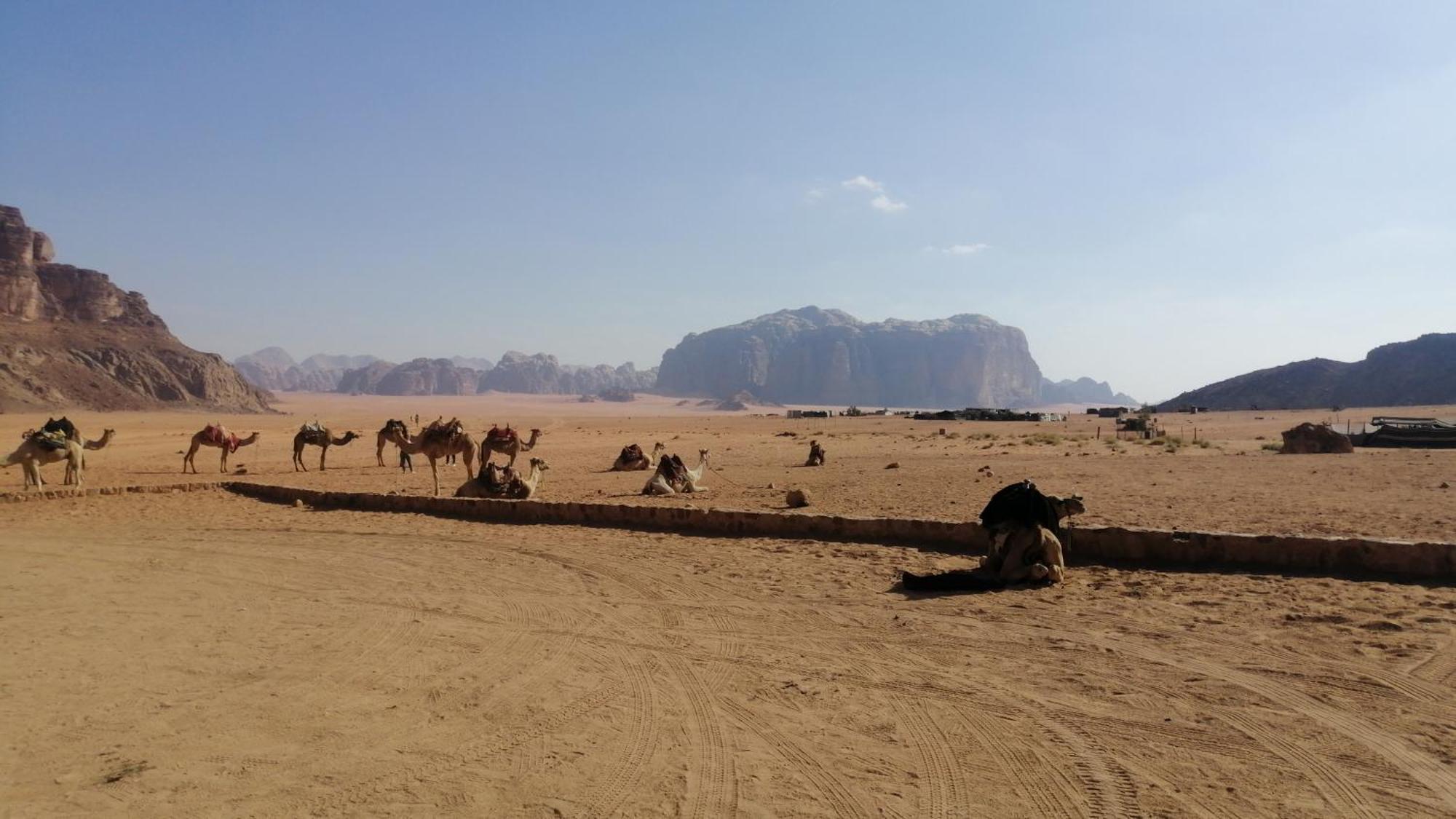 Omar Ghazi Camp Hotel Wadi Rum Bagian luar foto