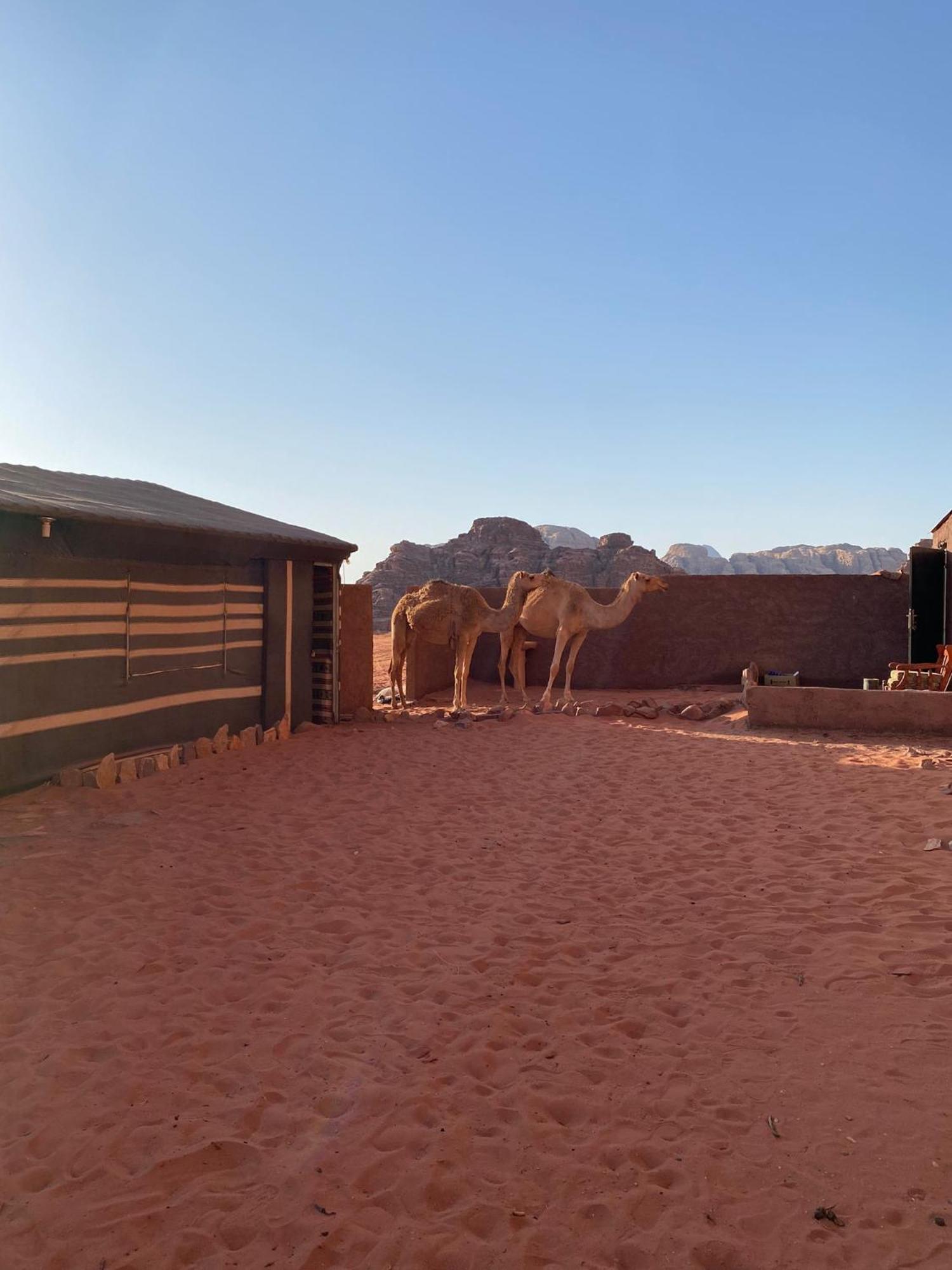 Omar Ghazi Camp Hotel Wadi Rum Bagian luar foto