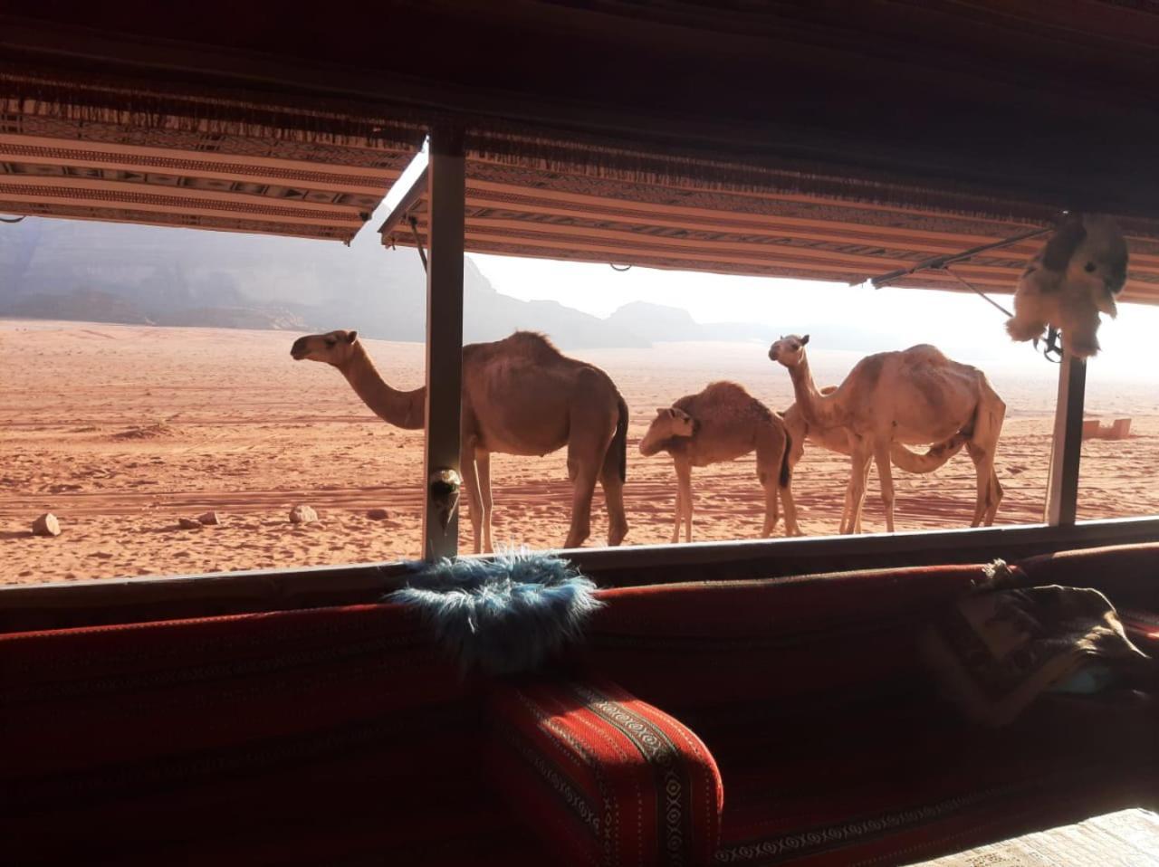 Omar Ghazi Camp Hotel Wadi Rum Bagian luar foto