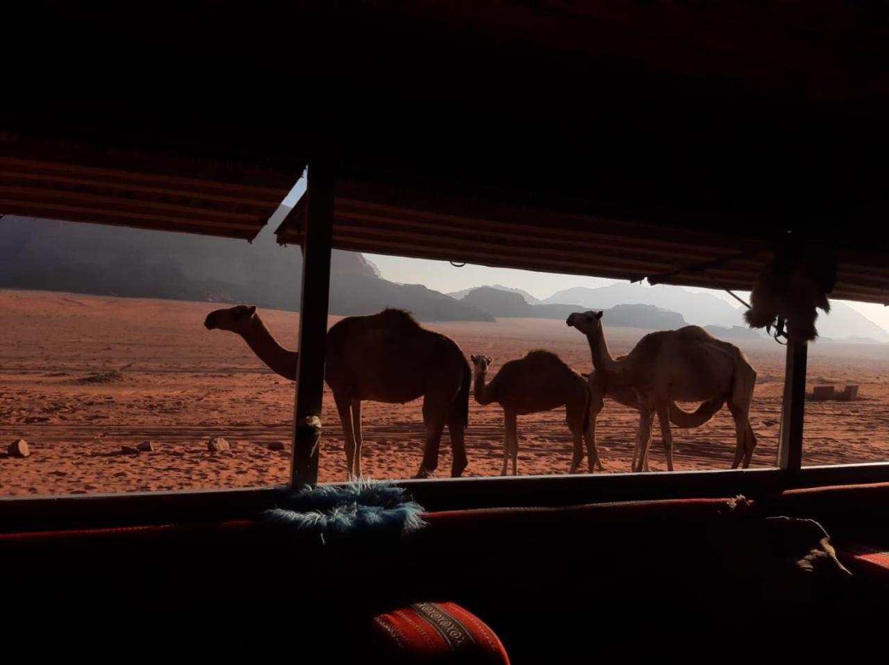 Omar Ghazi Camp Hotel Wadi Rum Bagian luar foto